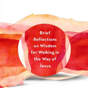 Inspirational Spirituality Kindle Book WaterBrook 201 Pages 7.6 MB-0