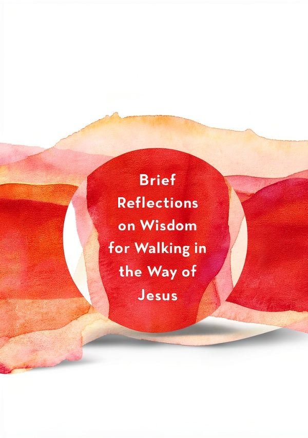 Inspirational Spirituality Kindle Book WaterBrook 201 Pages 7.6 MB-0